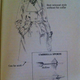 Image for article titled What You'll Learn From a Woman's Dress for Success Book from 1977